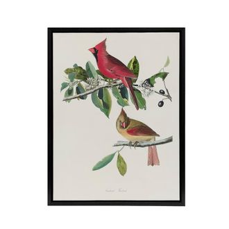 Artery8 Cardinal Grosbeak Bird Audubon Nature Black Framed Canvas Wall Art in White | Size: W24 x H32