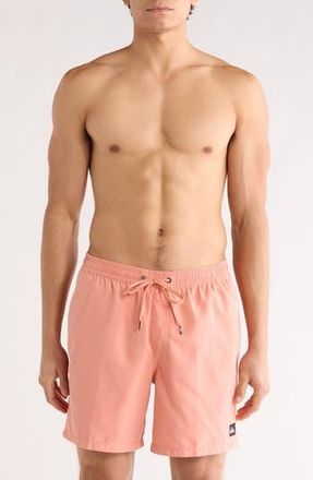 Quiksilver Everyday Solid Volley Swim Trunks in Canyon Clay at Nordstrom Rack, Size X-Large