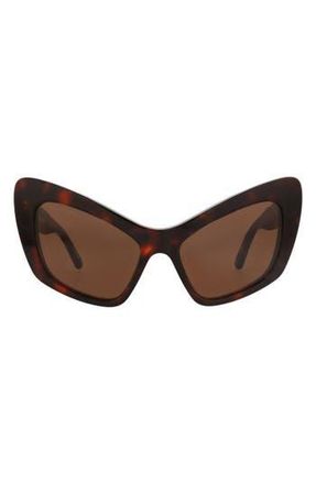 Balenciaga 58mm Cat Eye Sunglasses in Havana Havana Brown at Nordstrom Rack