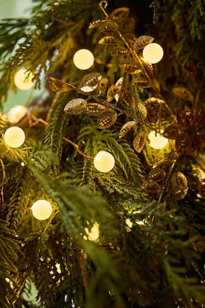 Terrain Pearl String Lights