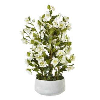 Hill Interiors Hellebore Artificial Potted Plant 85cm x 52cm x 52cm in White | Size: 85 cm x 52 cm x 52 cm