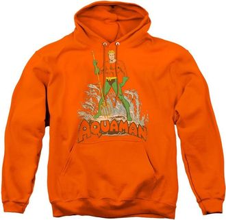 Gildan DC Comics Aquaman Distressed Adult Pull Over Hoodie / Hooded Sweatshirt
