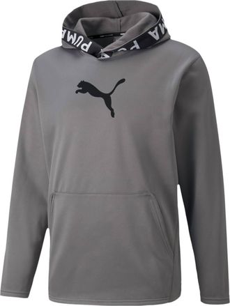 Puma Mens Train Powerfleece Logo Hoodie In Castlerock