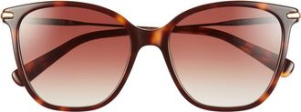 Longchamp 54mm Cat Eye Gradient Sunglasses in Havana at Nordstrom Rack