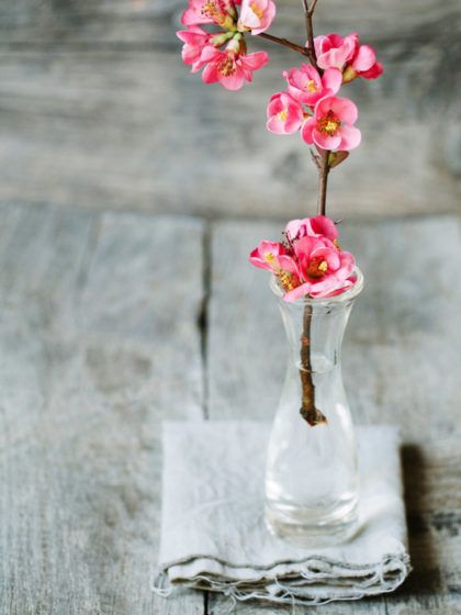 La-ers, Lagom! Wabi Sabi Is The Cool New (Old) Lifestyle Trend