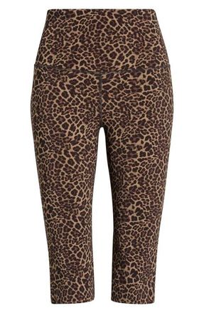 Lord & Taylor Sculpt Capri Leggings in New Leopard at Nordstrom, Size X-Small