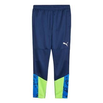 Puma individualCUP Football Training Pants Blue Green 658487-54