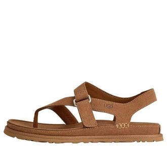 UGG (WMNS) UGG GoldenGaze Toe Post Sandals Chestnut 1175134-CHE
