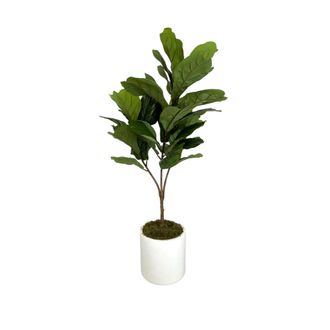Creative Displays Inc. Fiddle Leaf Tree