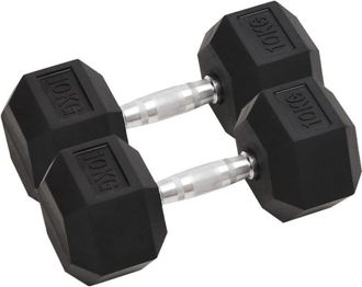 vidaXL Mancuernas 2 Unidades Total Hierro Fundido 20 Kg Vidaxl