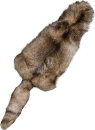Dolce & Gabbana Frost Fox Bont Nekwarmer Sjaal - Dames - Wintersjaals - Bruin - ONE Size - Kasjmier - Accessoires