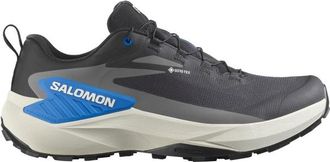 Salomon Genesis GORE-TEX Trailrunningschuhe für Herren | grau