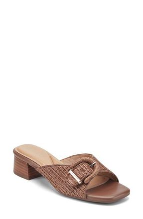 Easy Spirit Rosalind Slide Sandal in Dark Brown at Nordstrom, Size 9.5