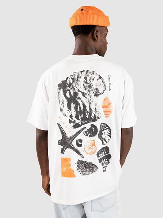 Nike ACG Oc Fossils T-Shirt wit
