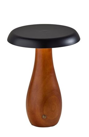 Adesso Naya Cordless LED Table Lamp in Walnut at Nordstrom