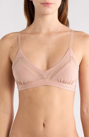 MeUndies FeelFree Lace Trim Triangle Bralette in Sand Dune at Nordstrom, Size Xx-Large