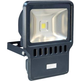Eagle 100W Led Flood Light in Black