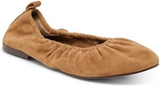 Dolce Vita Conrad Ballet Flat in Light Brown Suede at Nordstrom, Size 6.5