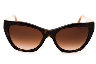 Emporio Armani 0EA4176 Cat-Eye Acetate Sunglasses - Brown