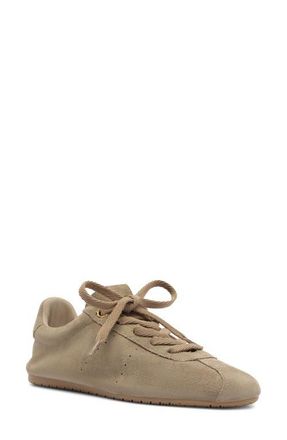 Arezzo Maureen Low Top Sneaker in Topo Grey at Nordstrom, Size 8.5