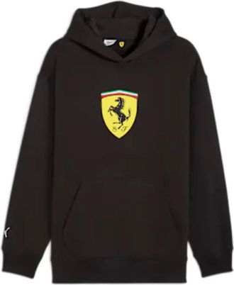 Puma Puma, Hoodies & sweatvesten, Heren, Zwart, L, Scuderia Sweat