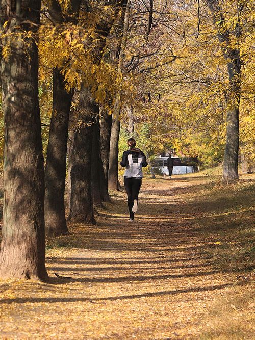 Frau joggt durch einen herbstlich gefärbten Wald.