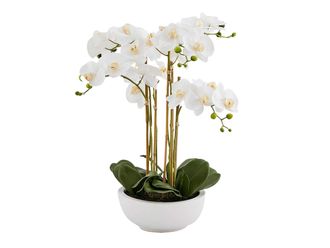 Schubiger M&ouml;bel Kunstpflanze Orchidee Weiss H: 65 cm