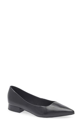 Bottero Alessandra Pointed Toe Ballet Flat in Preto at Nordstrom, Size 11