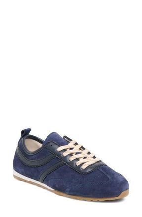 Dolce Vita Viper Sneaker in Navy Suede at Nordstrom, Size 7.5