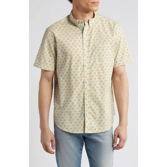 Johnston & Murphy Citrus Print Short Sleeve Cotton Button-Down Shirt in Green/orange at Nordstrom Rack, Size Medium