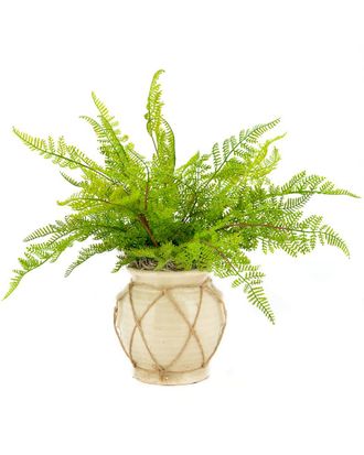Creative Displays Inc. Green Fern Bush