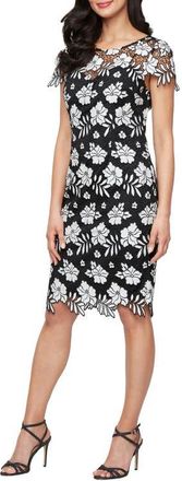 Alex Evenings Embroidered Lace Cocktail Dress in Black White at Nordstrom, Size 16