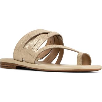 Donald J Pliner Hazie Toe Loop Sandal in Platinum at Nordstrom, Size 7.5
