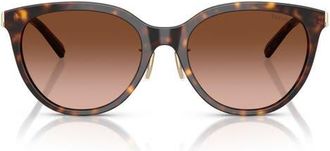 Tiffany & Co. 55mm Round Sunglasses in Havana /Brown Gradient at Nordstrom