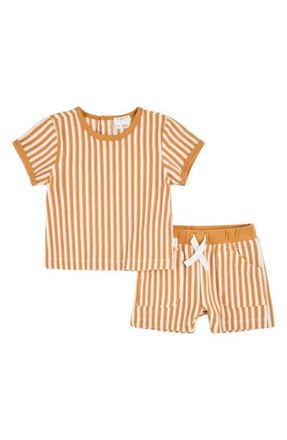 Petit Lem Stripe Terry T-Shirt & Shorts Set in Yellow Gold at Nordstrom, Size 24M