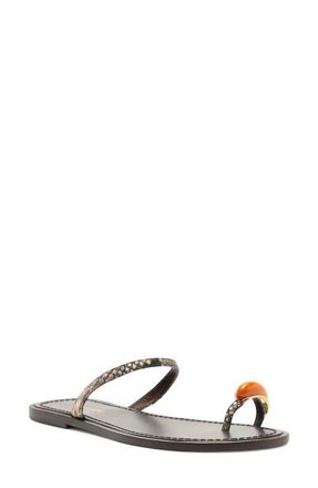 Arezzo Sophie Slide Sandal in Osso at Nordstrom, Size 7.5