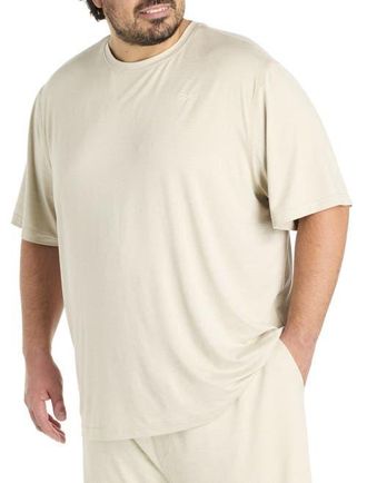 Reebok Big & Tall Performance Perfect T-Shirt in Sport Beige Heather at Nordstrom, Size 3X Big
