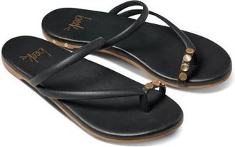 beek Starbird Studded Toe Ring Slide Sandal in Black at Nordstrom, Size 10