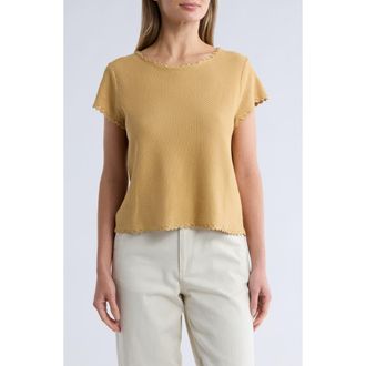 Adrianna Papell Boat Neck Cap Sleeve Seed Stitch Sweater in Golden Maize at Nordstrom Rack, Size X-Large