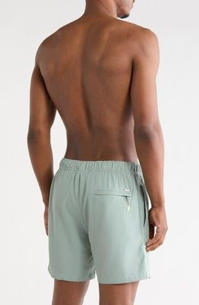 Vintage Summer Swimwear Solid 4 Way Stretch Lined Volley Swim Trunks in Sage at Nordstrom Rack, Size Xx-Large