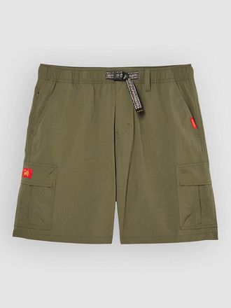Quiksilver Bm Cyclone Cargo Boardshorts groen