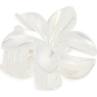 BP. Pulmeria Claw Clip in White Iridescent at Nordstrom