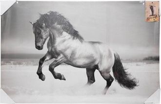 Atmosphera Lienzo Enmarcado Animales 75x115cm - Atmosphera Cr&eacute;ateur DInt&eacute;rieur