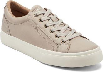 Earth Dailey Sneaker in Light Grey at Nordstrom, Size 9