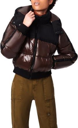 Bernie Water Resistant Shiny Mixed Media Crop Puffer Jacket in Chocolate Black at Nordstrom Rack, Size X-Small