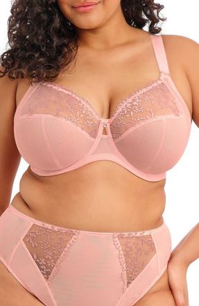 Elomi Zarla Full Figure Underwire Bra in Rose Bud at Nordstrom, Size 32Gg