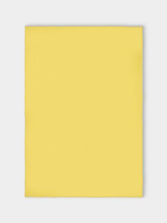 Denis Colomb Cashmere and Silk Throw (79in/2m)