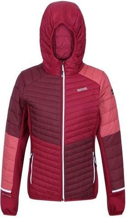 Regatta Trutton Puffer Jacket in Burgundy And Rumba Red at Nordstrom, Size 16