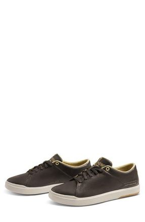 Travis Mathew x Guinness The Modern Cup Sneaker in Demitasse at Nordstrom, Size 10.5