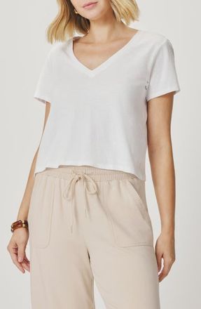 Splendid Louisa V-Neck T-Shirt in White at Nordstrom, Size X-Large